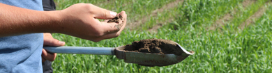 Smarter Soil Mapping Supports Better Farm Planning